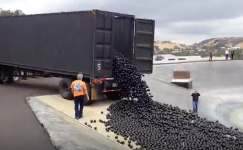 This Truck Dumping Plastic Balls into LA River. Find Out Why.